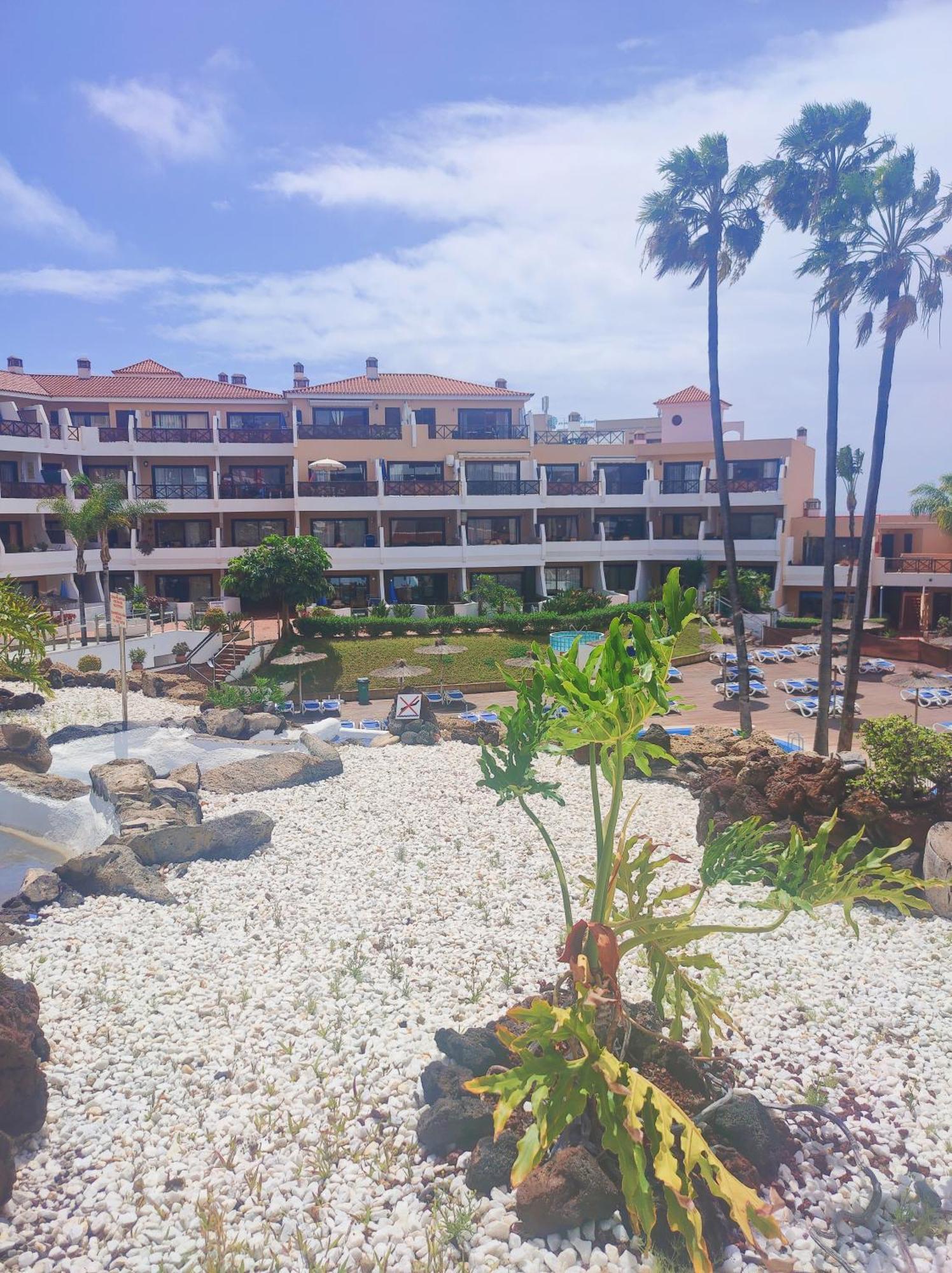 Lovely Apartment Top Views, Heated Pool, Great Location San Miguel de Abona Exterior photo